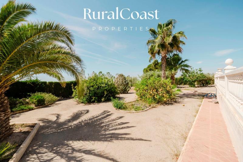 Foto 175b9c17-10a9-4786-85c6-537c9c4ca924. Chalet finca exclusiva con vistas abiertas, olivos centenarios y cercanía al mar en elche rural en Elche / Elx