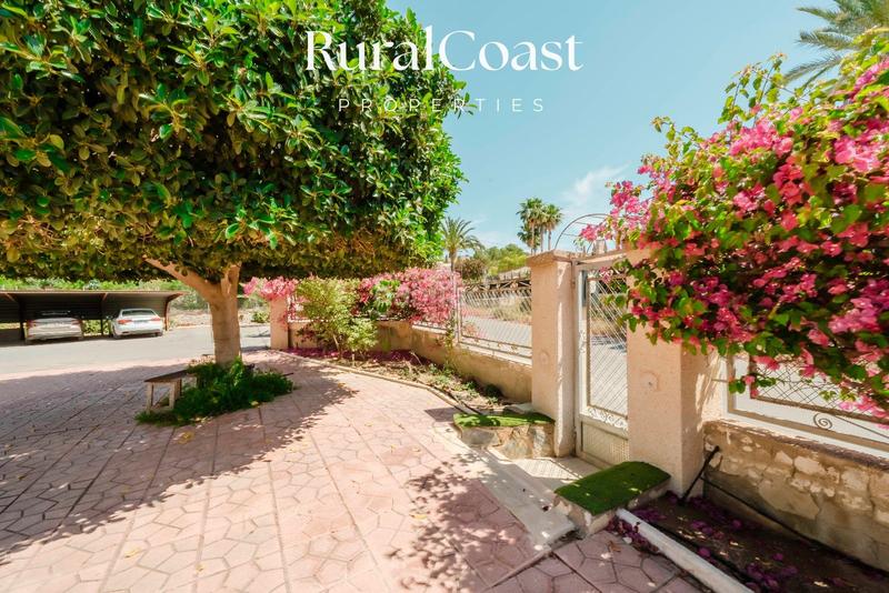 Foto 280aaa2a-2bbd-4cda-924c-9d9c21e6b086. Chalet finca exclusiva con vistas abiertas, olivos centenarios y cercanía al mar en elche rural en Elche / Elx