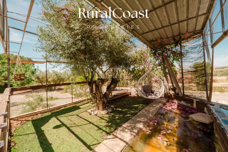 Foto 4f014418-2743-46fa-9e69-0c4d44209bdd. Chalet finca exclusiva con vistas abiertas, olivos centenarios y cercanía al mar en elche rural en Elche / Elx