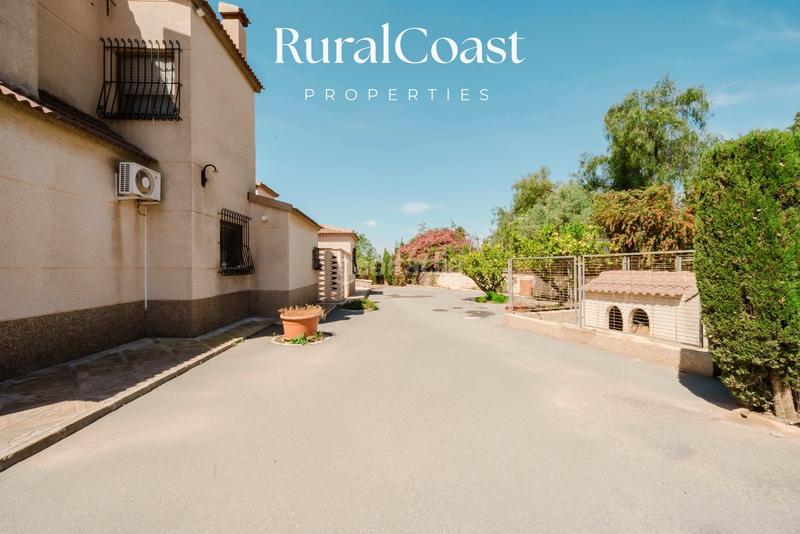 Foto 7a4511ce-b621-48ab-b0af-6e7cd52dbd4a. Chalet finca exclusiva con vistas abiertas, olivos centenarios y cercanía al mar en elche rural en Elche / Elx