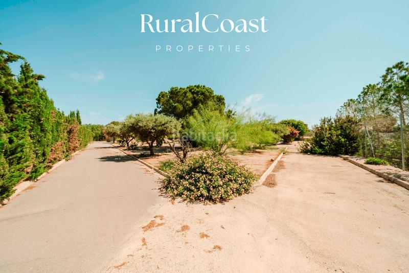 Foto ade31e58-fbd7-4d37-bf14-036347718e63. Chalet finca exclusiva con vistas abiertas, olivos centenarios y cercanía al mar en elche rural en Elche / Elx