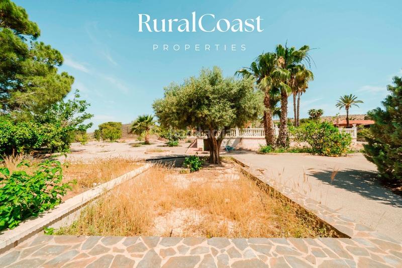 Foto e2328792-f1fe-4b67-82ee-6a80d4321542. Chalet finca exclusiva con vistas abiertas, olivos centenarios y cercanía al mar en elche rural en Elche / Elx