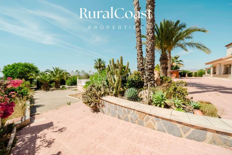 Foto e9c9edef-b780-4fe2-9034-094c392705b7. Chalet finca exclusiva con vistas abiertas, olivos centenarios y cercanía al mar en elche rural en Elche / Elx