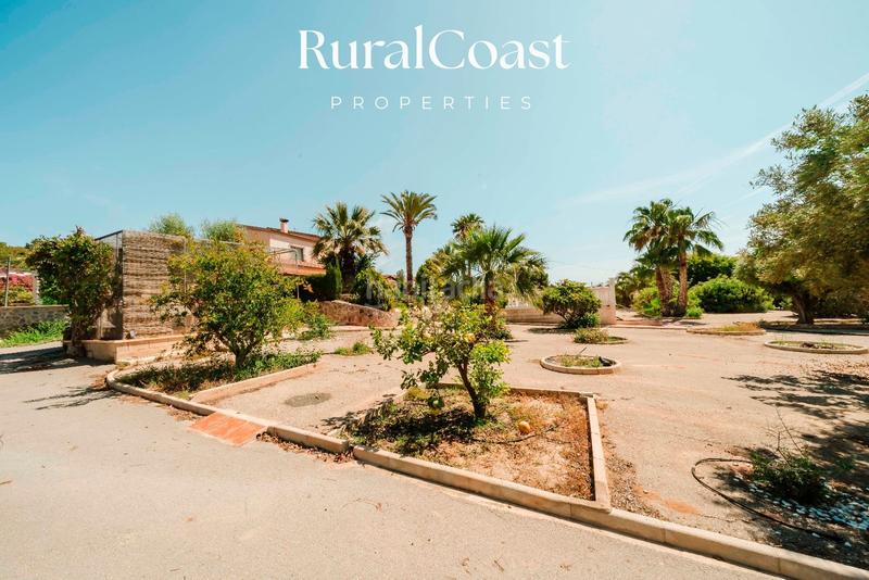 Foto ea577908-ea3f-4736-8933-cc35cff36eb0. Chalet finca exclusiva con vistas abiertas, olivos centenarios y cercanía al mar en elche rural en Elche / Elx