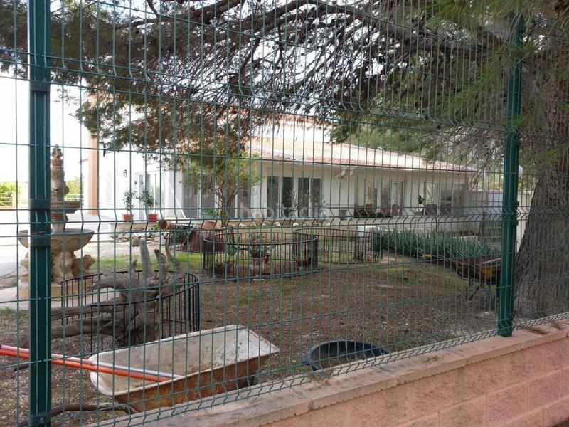 Foto 2f6c54af-65aa-4fcc-8825-05af1fac833b. Mas dans Los Balcones-Los Altos Torrevieja