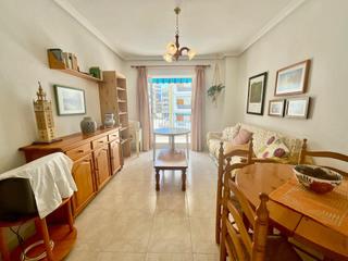 Appartement à Los Europeos. Gran apartamento en torrevieja, 1 hab, 1 baño
