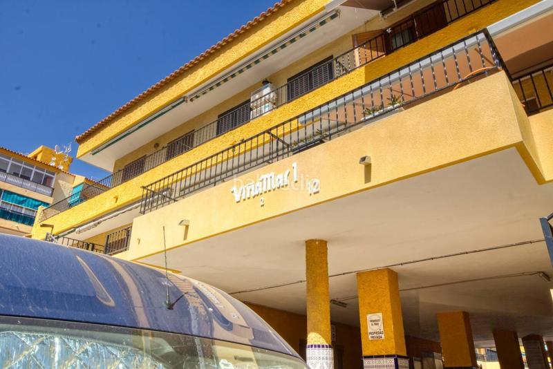 Foto 00eff49d-2293-423f-a9b9-38ee720f1a9b. Estudi a Los Europeos Torrevieja