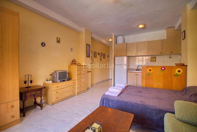 Foto 1ca4bb0a-f47f-4cd5-9aba-553e70311893. Estudi a Los Europeos Torrevieja