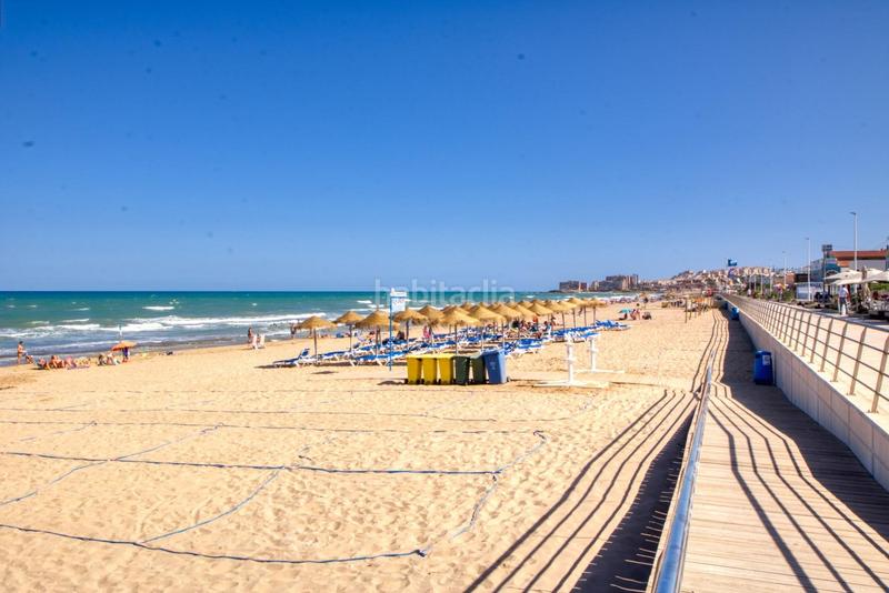 Foto 55a318be-758b-4f02-888f-6891599c88ea. Estudi a Los Europeos Torrevieja