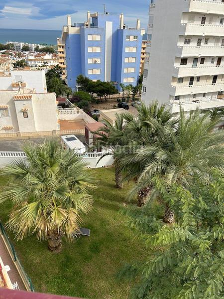 Foto 28dd73f0-1ea8-4585-a34f-18a588e1cb8c. Estudi a Torreblanca Torrevieja