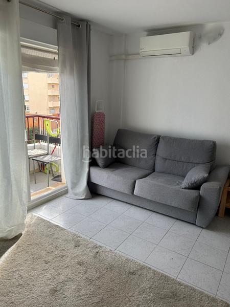 Foto 7434c9e4-0011-455a-bdf6-efd68a481b81. Estudi a Torreblanca Torrevieja