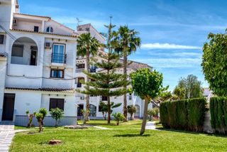 Duplex in Nueva Torrevieja. Gran dúplex en torrevieja 1 hab, 1 baño