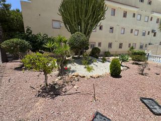 Apartment in Centro - Muelle Pesquero. Gran bungalow en planta alta en torrevieja 3 hab, 2 baño