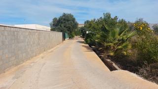 Finca rstica en Madrigal. Terreno con olivos