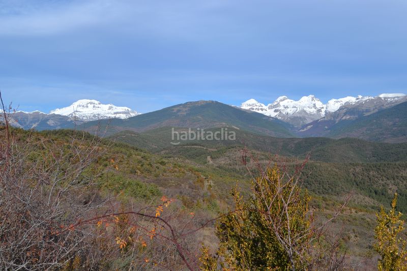 Foto a9511f9e-e03e-42d1-8ac7-80e5c03fbd06. Xalet a calle alta 29 a Aisa