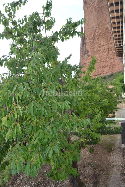 Foto ddb37474-19c6-4d50-9ddb-bd6a96366867. Casale con parcheggio in Peñas de Riglos (Las)