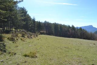 Fondo rustico  Vial camino