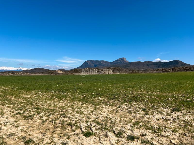 Foto e661ff66-d22d-47ec-9be8-40074d00c980. Rural plot in Bailo