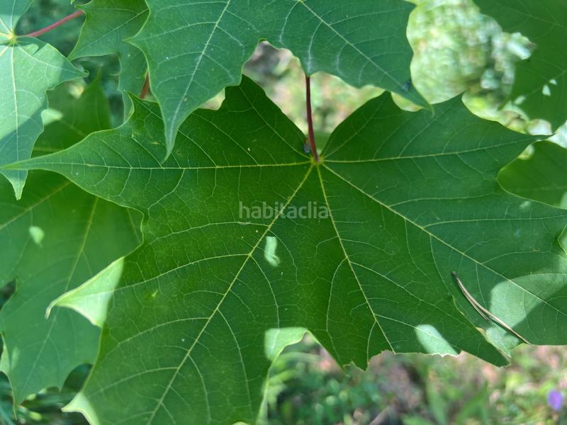 Foto 2b0da104-3f65-4544-b6aa-3909e263ae4c. Finca rústica a calle única 52 a Broto