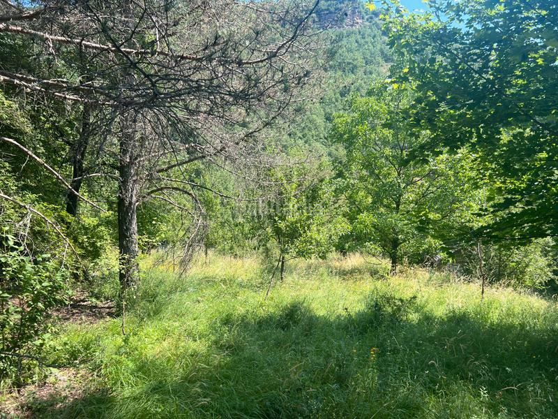 Foto 3ef3eaba-527f-48c6-9422-4a89d19da0f9. Finca rústica a calle única 52 a Broto