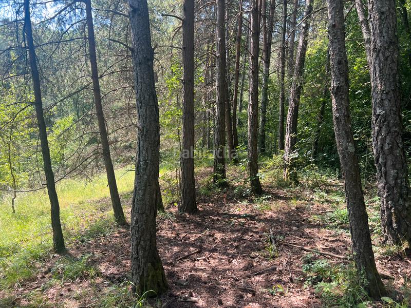 Foto d5ded0ad-15b3-447a-8bd8-bc222fd61fbf. Finca rústica a calle única 52 a Broto