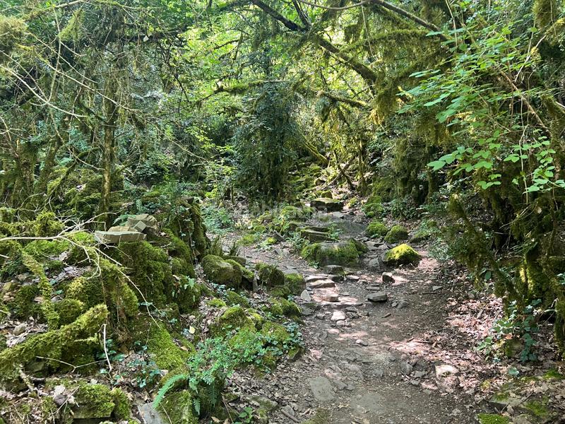 Foto e4f5e000-fccf-40e2-a341-bd794e54278a. Finca rústica a calle única 52 a Broto