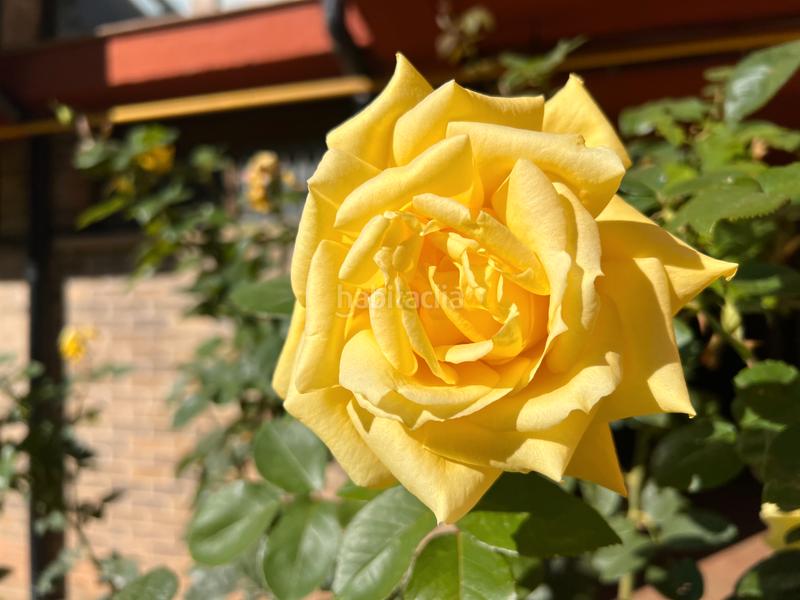 Foto 3e037ebb-9715-45a2-9b95-737a1cefac48. Piso en avenida de francia 64 piso en venta en avenida, 64 en Jaca