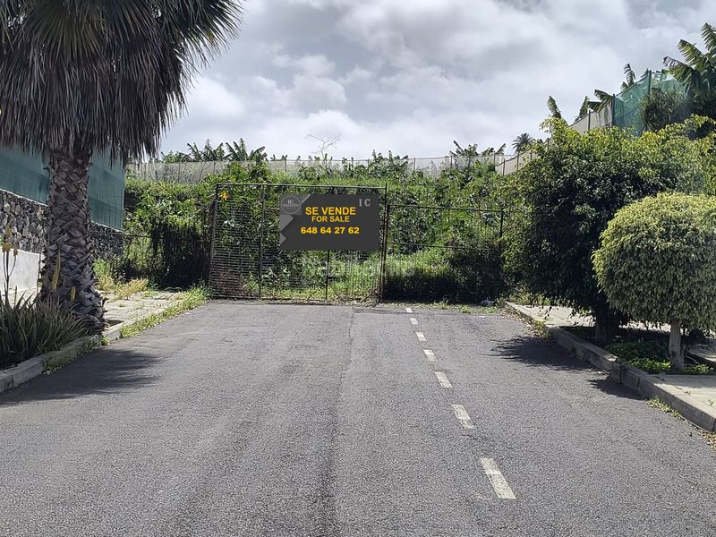 Foto 0c5963cc-66cf-46f3-ae01-4a2dc6483e57. Finca rústica a calle ecuador 1 a Longuera - Toscal Realejos (Los)