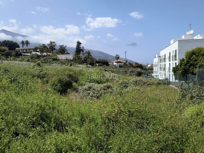 Foto 2cf2bf36-69ab-44f6-9562-55e6fde56a98. Finca rústica a calle ecuador 1 a Longuera - Toscal Realejos (Los)