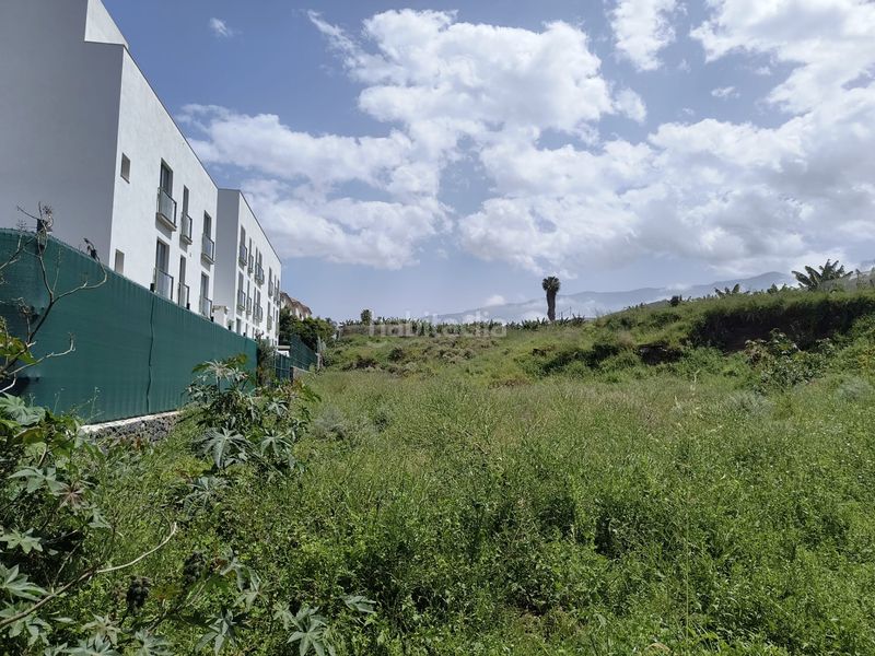 Foto 69d28cec-318e-4906-9dfe-f4b2fbcc2a94. Finca rústica a calle ecuador 1 a Longuera - Toscal Realejos (Los)