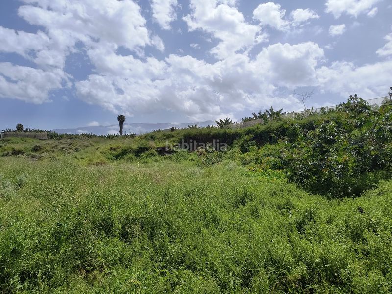 Foto 8ebc9b83-68f7-4913-aa0d-9f0cb2075df0. Finca rústica a calle ecuador 1 a Longuera - Toscal Realejos (Los)