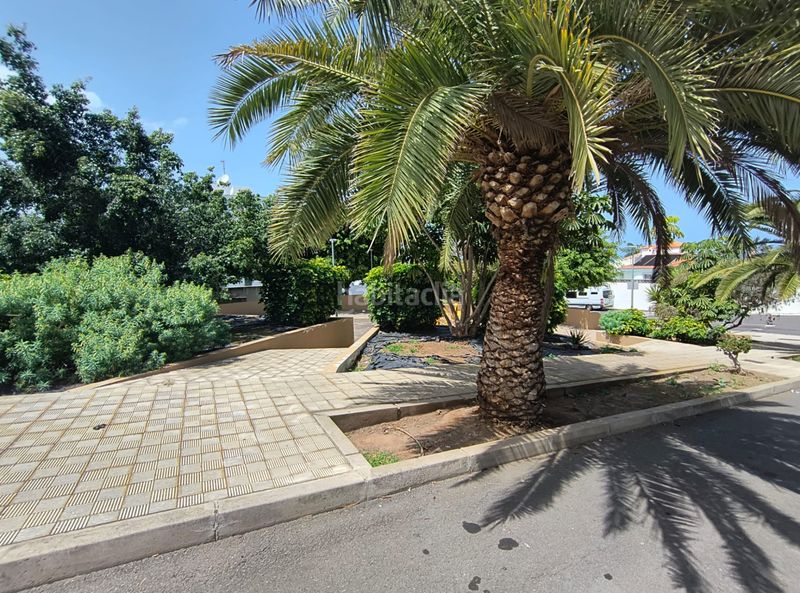 Foto bbc42262-ec07-4b55-8b82-ef58ca62436f. Finca rústica a calle ecuador 1 a Longuera - Toscal Realejos (Los)