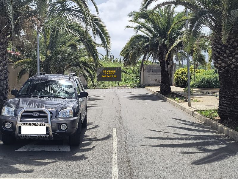 Foto ce2bea35-eaef-4d1f-80ae-e6543a72c6ab. Finca rústica a calle ecuador 1 a Longuera - Toscal Realejos (Los)