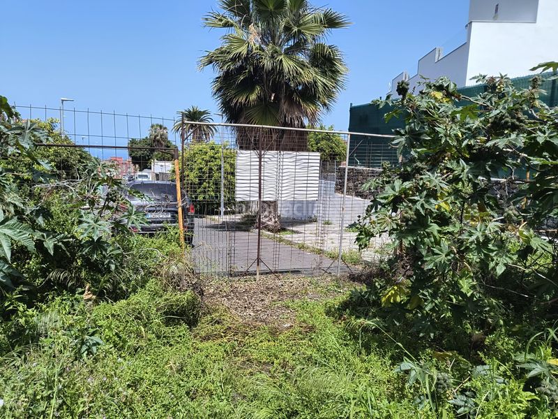 Foto e3a78233-8f78-4f37-a227-028575d7301b. Finca rústica a calle ecuador 1 a Longuera - Toscal Realejos (Los)