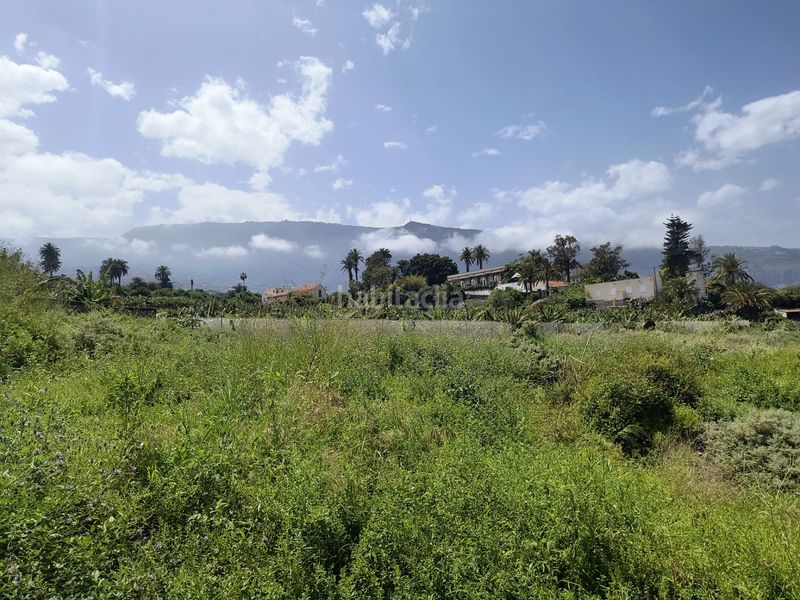 Foto f3a4ce6d-43cb-441d-934c-c5ea000e7b78. Finca rústica a calle ecuador 1 a Longuera - Toscal Realejos (Los)