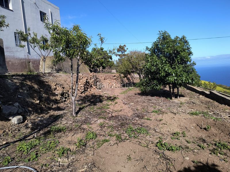 Foto d69e52b8-492f-4133-8cd8-1a1180eff314. Casa a calle el mazapé 66 a Icod El Alto Realejos (Los)