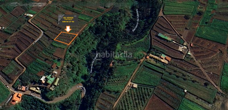 Foto 01e867e7-5805-420d-8ec9-c1630401e7b7. Finca rústica a vial camino 52 a Sauzal (El)