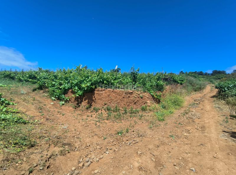 Foto 1a987fb3-d497-4d33-8aac-21d725185e99. Finca rústica a vial camino 52 a Sauzal (El)