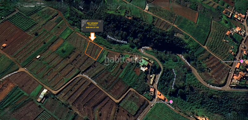 Foto 5a83cef4-1d36-4cf4-9c7a-e9b8a79c137b. Finca rústica a vial camino 52 a Sauzal (El)