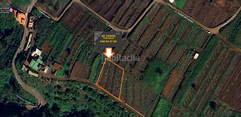 Foto 67ccbbb2-c439-403a-b8d0-91a7ced7e3b0. Finca rústica a vial camino 52 a Sauzal (El)