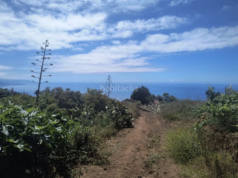Foto 7599c99d-a061-4542-8eb7-a7ec00dd628c. Finca rústica a vial camino 52 a Sauzal (El)