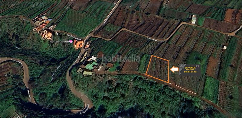 Foto a73c237b-b5b9-4c07-8d19-784817edaf06. Finca rústica a vial camino 52 a Sauzal (El)