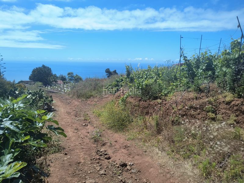 Foto e085a7a6-ab5d-4263-9e56-7bd8127f0ce9. Finca rústica a vial camino 52 a Sauzal (El)