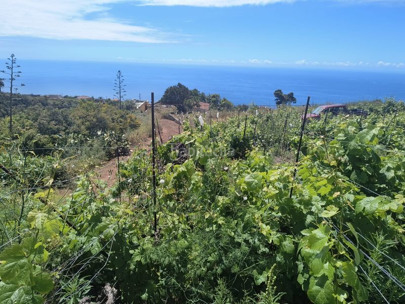 Foto e857ee00-623e-4728-82d3-66d982ee2b24. Finca rústica a vial camino 52 a Sauzal (El)