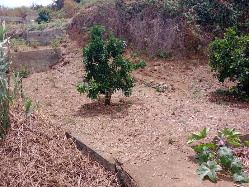 Foto 02669382-827b-4d9a-9530-34198b32aca3. Rural plot in calle los berros 1 in Los Realejos pueblo Realejos (Los)