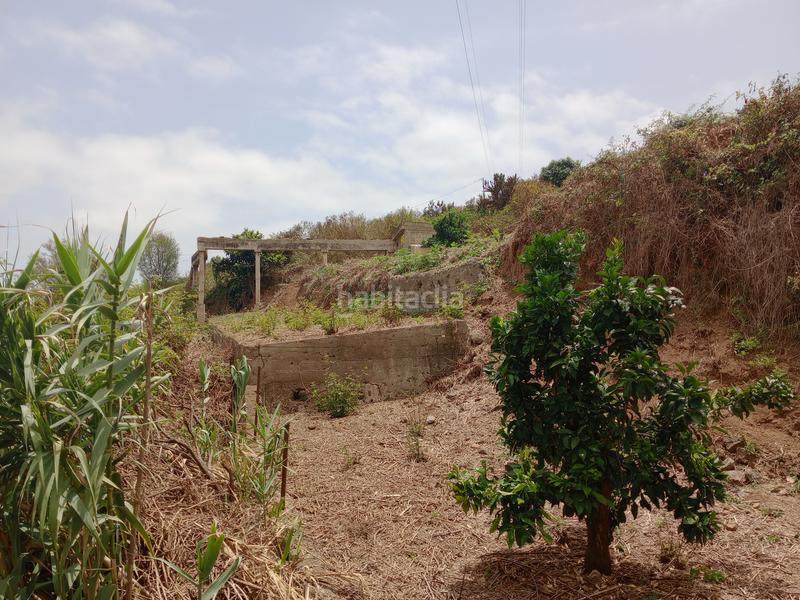 Foto 11d2c527-6f56-4bdb-a747-3aa8de1eba40. Rural plot in calle los berros 1 in Los Realejos pueblo Realejos (Los)