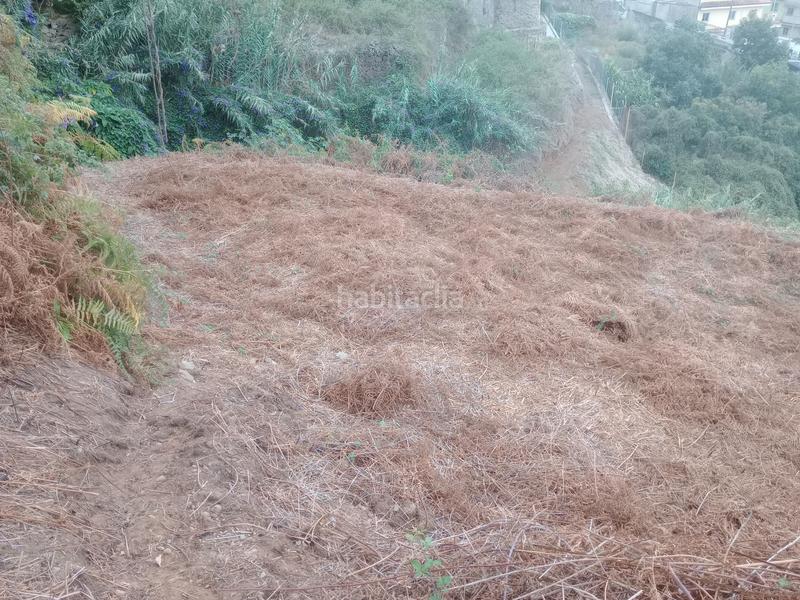 Foto 18525204-b4fa-417a-a784-8ebcdd9c93bc. Rural plot in calle los berros 1 in Los Realejos pueblo Realejos (Los)