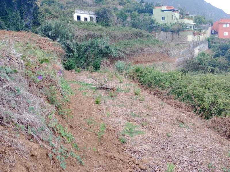 Foto 1a1f2e03-e210-4356-95b9-3b8e7d04522b. Rural plot in calle los berros 1 in Los Realejos pueblo Realejos (Los)