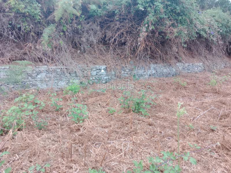 Foto 1b428ead-bf00-4e92-bfd7-4daf4a58ebaf. Rural plot in calle los berros 1 in Los Realejos pueblo Realejos (Los)