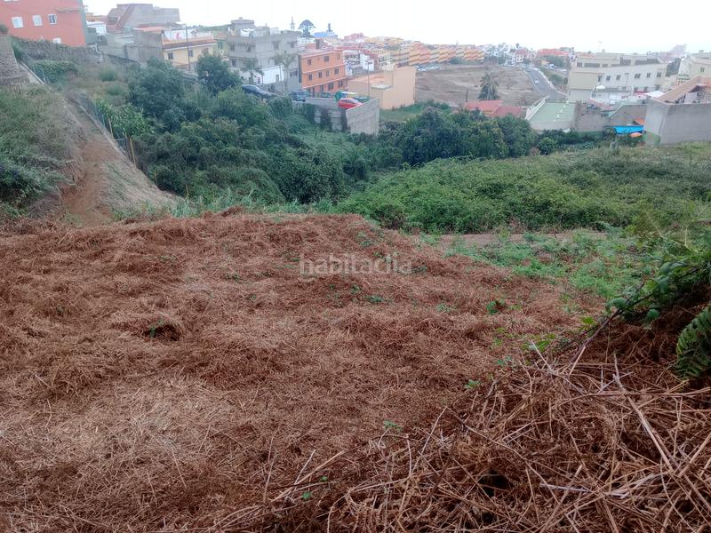 Foto 1eb0bb7d-406a-4a95-982d-8b010527c711. Rural plot in calle los berros 1 in Los Realejos pueblo Realejos (Los)